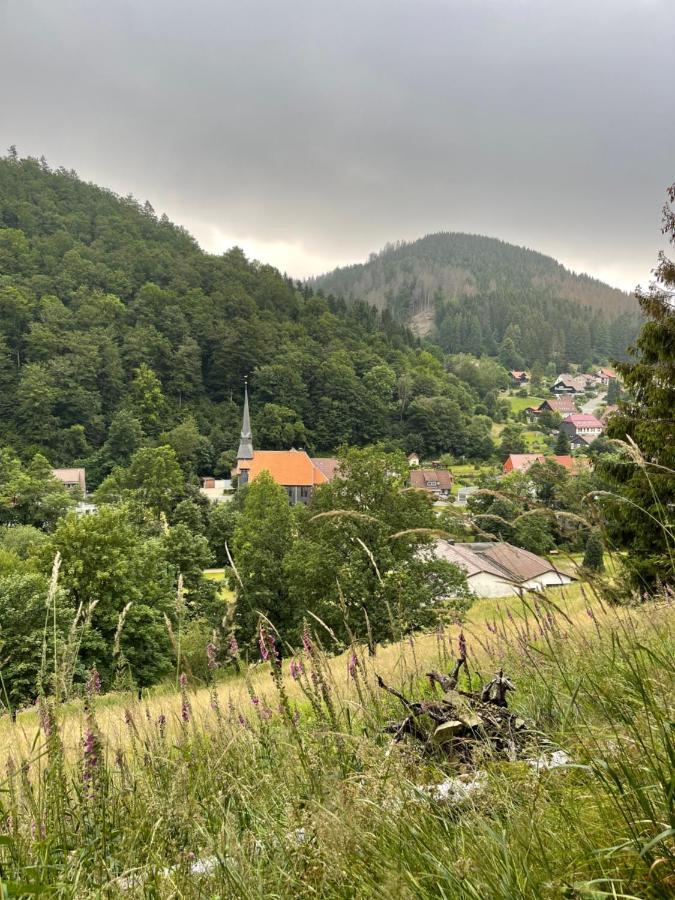 Gemuetliches Apartment Mit Kamin Und Wohnkueche Herzberg am Harz Exterior foto